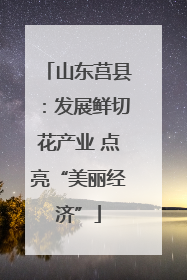 山东莒县：发展鲜切花产业 点亮“美丽经济”