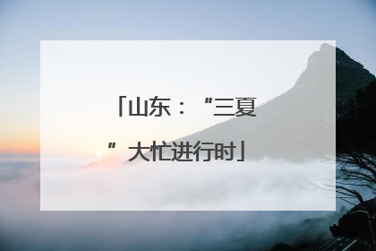 山东：“三夏”大忙进行时