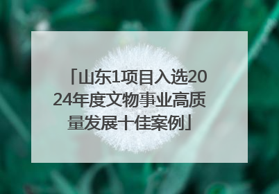 山东1项目入选2024年度文物事业高质量发展十佳案例