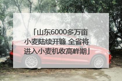山东6000多万亩小麦陆续开镰 全省将进入小麦机收高峰期