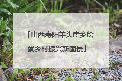 山西寿阳羊头崖乡绘就乡村振兴新图景