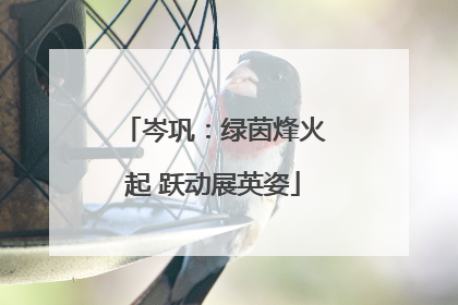 岑巩：绿茵烽火起 跃动展英姿