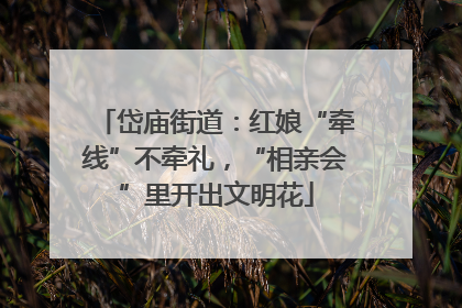 岱庙街道：红娘“牵线”不牵礼，“相亲会”里开出文明花