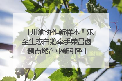 川渝协作新样本！乐至生态白鹅牵手荣昌卤鹅点燃产业新引擎