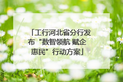 工行河北省分行发布“数智领航 赋企惠民”行动方案