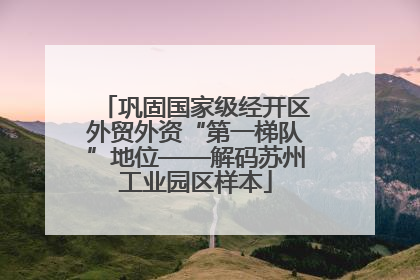 巩固国家级经开区外贸外资“第一梯队”地位——解码苏州工业园区样本