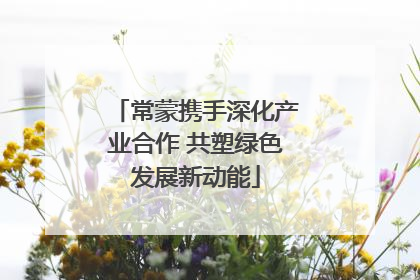 常蒙携手深化产业合作 共塑绿色发展新动能