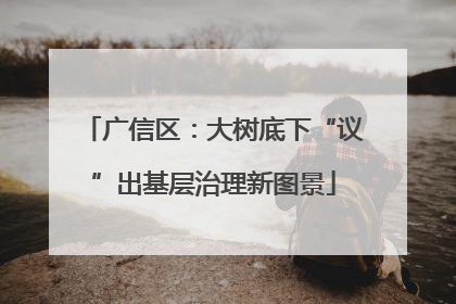 广信区：大树底下“议”出基层治理新图景