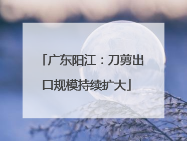 广东阳江：刀剪出口规模持续扩大