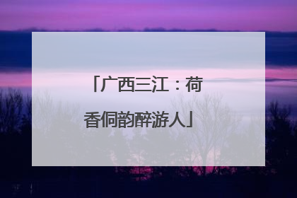 广西三江：荷香侗韵醉游人