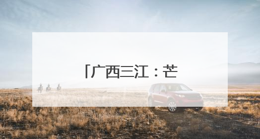 广西三江：芒种到 忙种稻