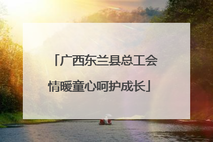 广西东兰县总工会情暖童心呵护成长