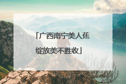 广西南宁美人蕉绽放美不胜收