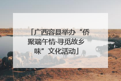 广西容县举办“侨聚端午情·寻觅故乡味”文化活动