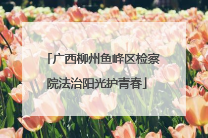 广西柳州鱼峰区检察院法治阳光护青春