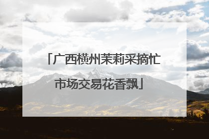 广西横州茉莉采摘忙 市场交易花香飘