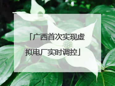 广西首次实现虚拟电厂实时调控