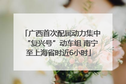 广西首次配属动力集中“复兴号”动车组 南宁至上海省时近6小时