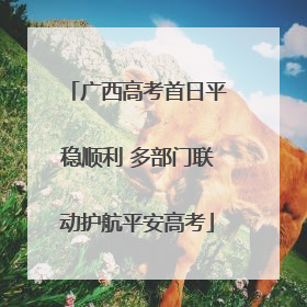 广西高考首日平稳顺利 多部门联动护航平安高考