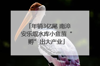 年销3亿尾 南漳安乐堰水库小鱼苗“孵”出大产业