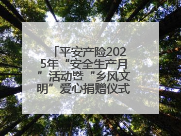 平安产险2025年“安全生产月”活动暨“乡风文明”爱心捐赠仪式在菏泽单县举行