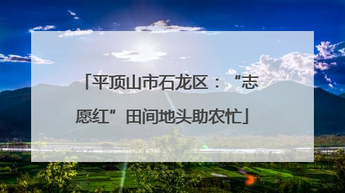 平顶山市石龙区：“志愿红”田间地头助农忙