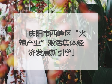庆阳市西峰区“火辣产业”激活集体经济发展新引擎