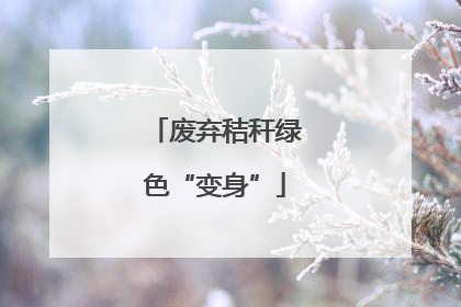 废弃秸秆绿色“变身”