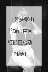 延庆张山营镇百亩网红稻田启动插秧