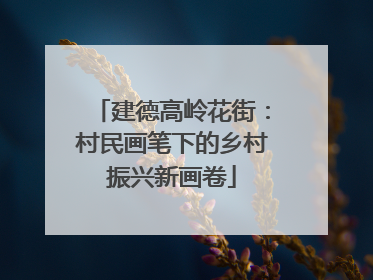 建德高岭花街：村民画笔下的乡村振兴新画卷