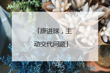 廖进球，主动交代问题