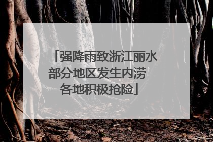 强降雨致浙江丽水部分地区发生内涝 各地积极抢险