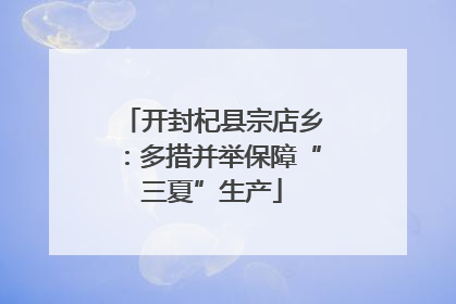 开封杞县宗店乡：多措并举保障“三夏”生产