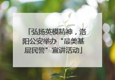弘扬英模精神，洛阳公安举办“最美基层民警”宣讲活动