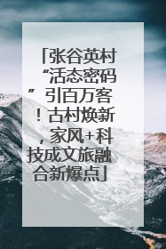 张谷英村“活态密码”引百万客！古村焕新，家风+科技成文旅融合新爆点