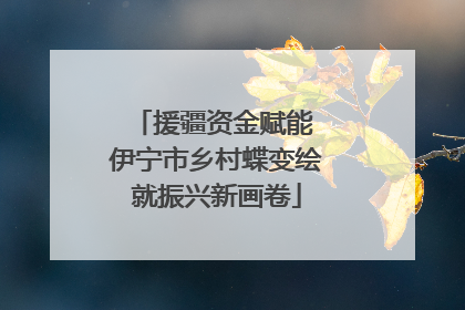 援疆资金赋能 伊宁市乡村蝶变绘就振兴新画卷