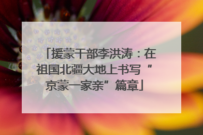 援蒙干部李洪涛：在祖国北疆大地上书写“京蒙一家亲”篇章