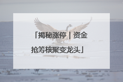 揭秘涨停｜资金抢筹核聚变龙头