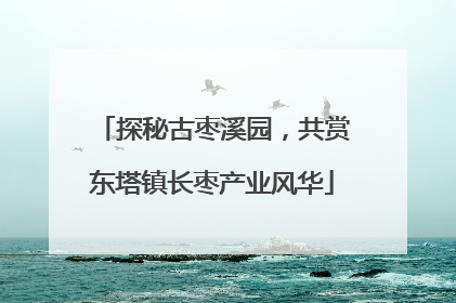探秘古枣溪园，共赏东塔镇长枣产业风华