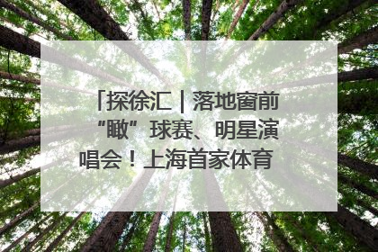 探徐汇｜落地窗前“瞰”球赛、明星演唱会！上海首家体育特色高端酒店亮相