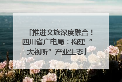 推进文旅深度融合！四川省广电局：构建“大视听”产业生态