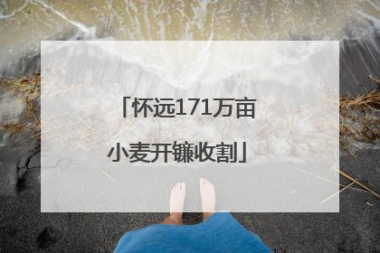 怀远171万亩小麦开镰收割