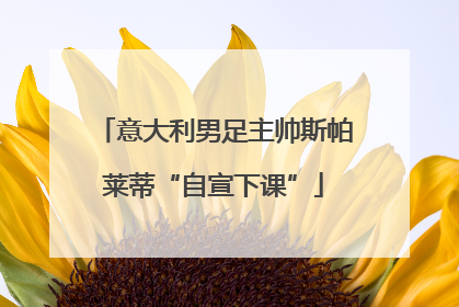 意大利男足主帅斯帕莱蒂“自宣下课”