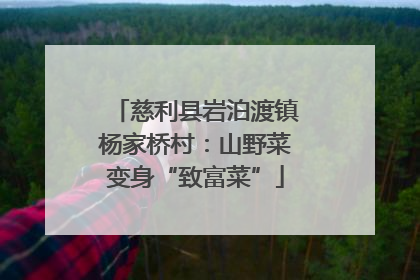 慈利县岩泊渡镇杨家桥村：山野菜变身“致富菜”