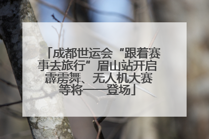 成都世运会“跟着赛事去旅行”眉山站开启 霹雳舞、无人机大赛等将一一登场