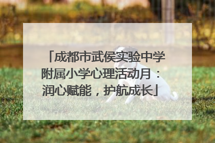 成都市武侯实验中学附属小学心理活动月：润心赋能，护航成长