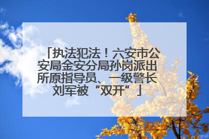 执法犯法！六安市公安局金安分局孙岗派出所原指导员、一级警长刘军被“双开”