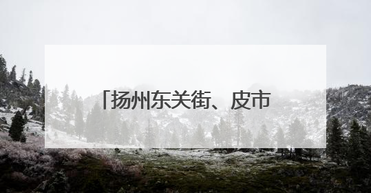 扬州东关街、皮市街上榜江苏省夜间消费集聚商圈，成为古城老街打造“夜经济”的样本