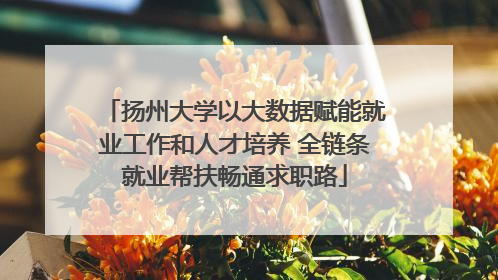 扬州大学以大数据赋能就业工作和人才培养 全链条就业帮扶畅通求职路