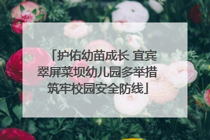 护佑幼苗成长 宜宾翠屏菜坝幼儿园多举措筑牢校园安全防线